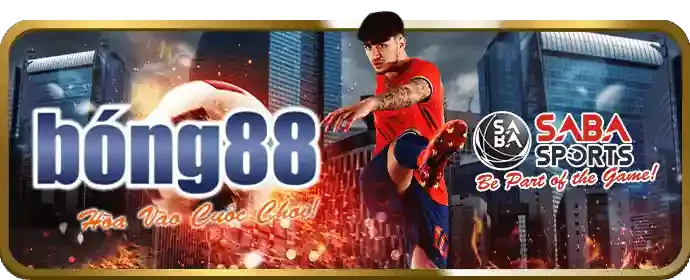 Các tổ chức hỗ trợ cờ bạc có trách nhiệm
